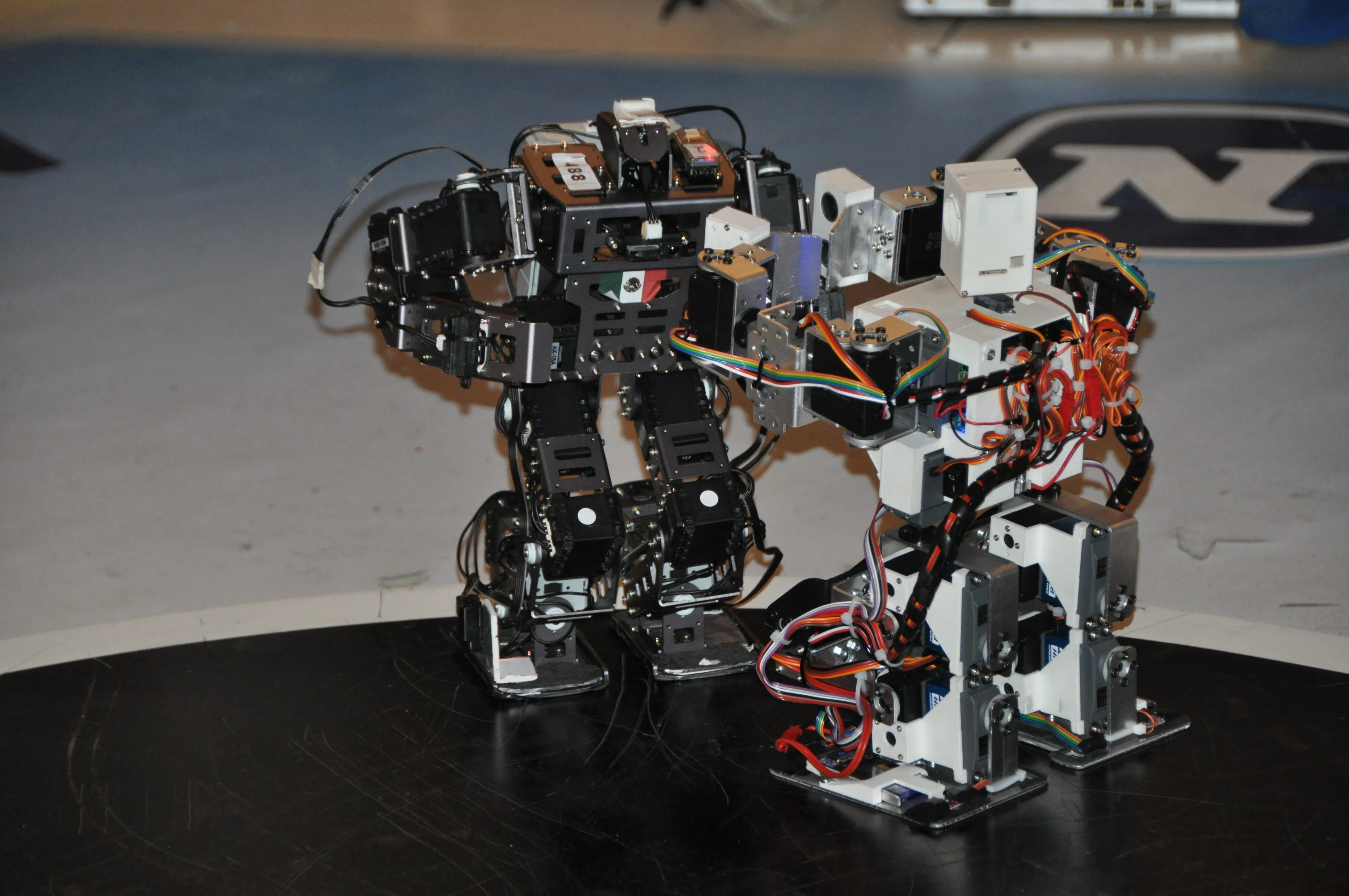 RobBox